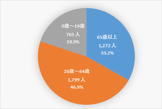 世代別人口円グラフの画像