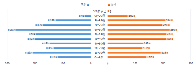 男女別・年代別人口の棒グラフの画像
