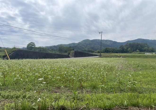 クリックすると拡大します