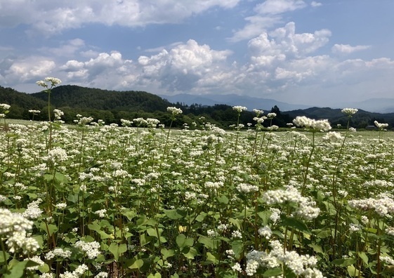 クリックすると拡大します