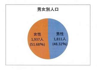 男女別人口円グラフの画像