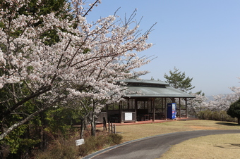 さくら情報 むらの紹介 下條村ホームページ